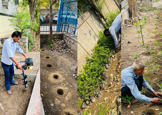 Tree Plantation Mayur Vihar Phase 1